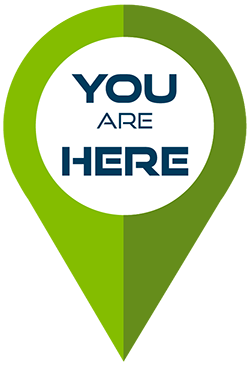 You are here